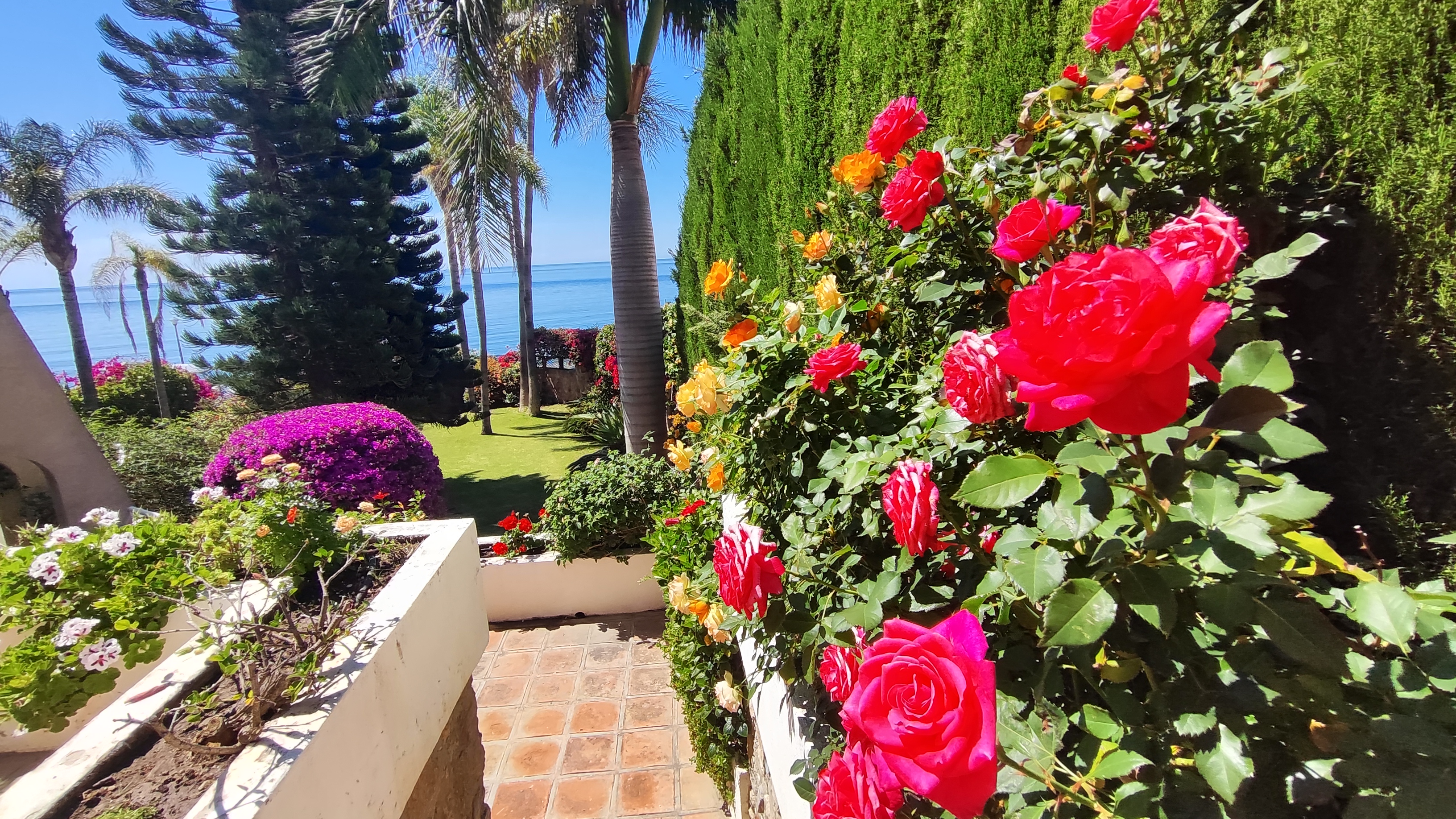 jardín 2